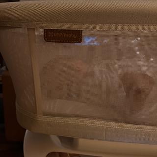 Submitted by jackandarchie