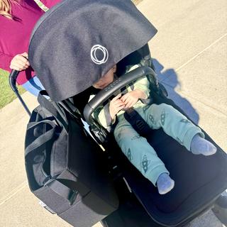 Submitted by Lauran L