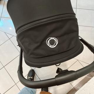 Submitted by tatkemp