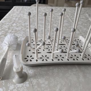 Submitted by Springflower203