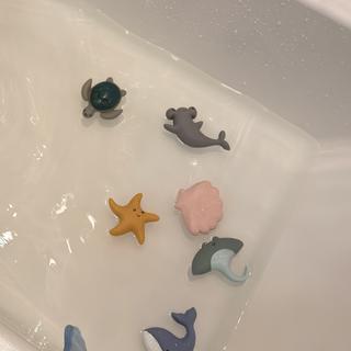 Submitted by Wheelsee