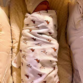 Submitted by janellem