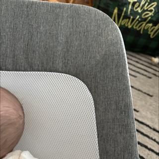 Submitted by Katie H