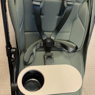 Submitted by LyonsMama7