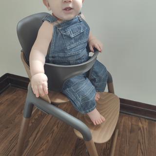 Submitted by Desultory