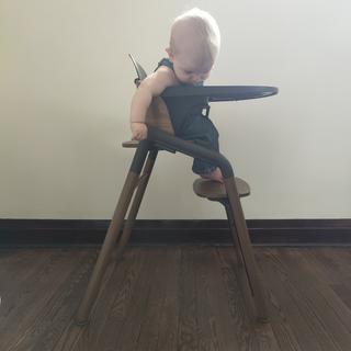 Submitted by Desultory