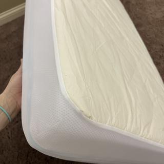 Submitted by tringram