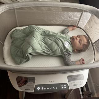 Submitted by Shelleydys