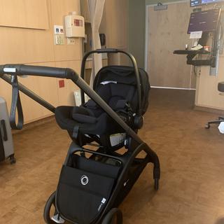 Submitted by Jaredpedro