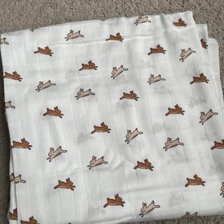 Submitted by Kaytlin