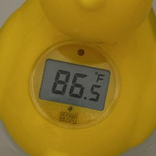 Submitted by AshSmith