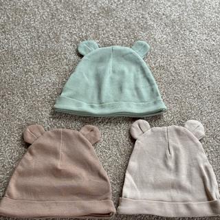 Submitted by Elizabeth