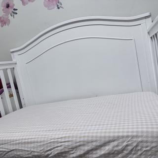 Submitted by Daniella