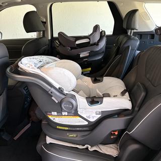 Submitted by Melissa M