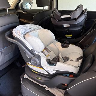 Submitted by Melissa M