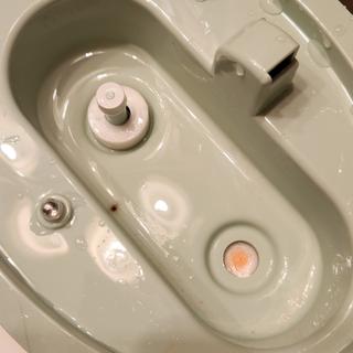 Submitted by Annie & Jack M