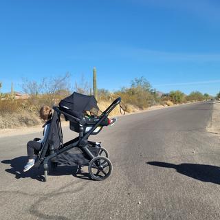 Submitted by smdrsprague