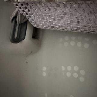 Submitted by Isabella K