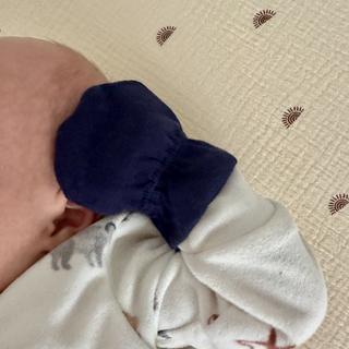 Submitted by Colecoles