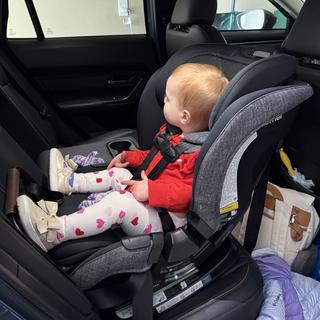 Submitted by Chels22