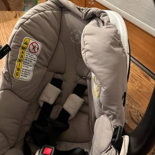 Submitted by Lauren B