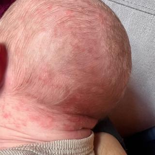 Submitted by Chloe P