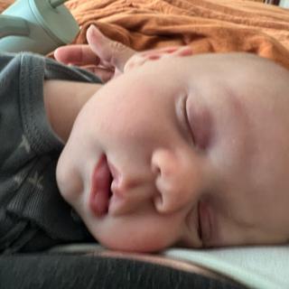 Submitted by Chloe P