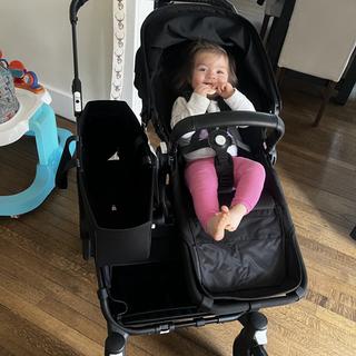 Submitted by Lisamlpierce