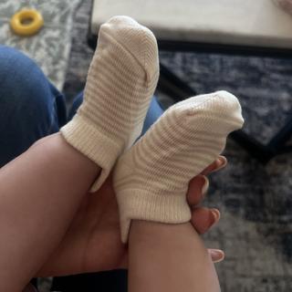 Submitted by Zeljana