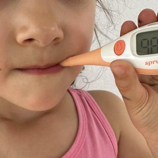 Submitted by StephanieF