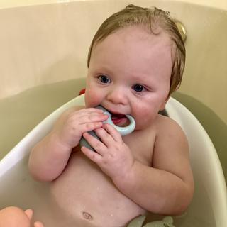 Submitted by Delaney