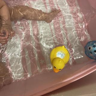 Submitted by Amesdoe