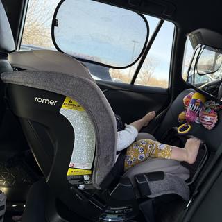 Submitted by SWilairat