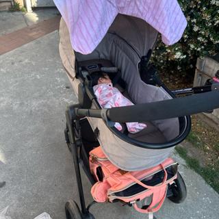 Submitted by Deysi C