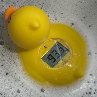 Submitted by Danielle W