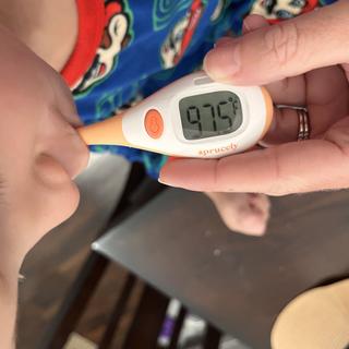 Submitted by Brush & Comb Set