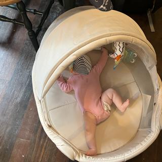 Submitted by janellem