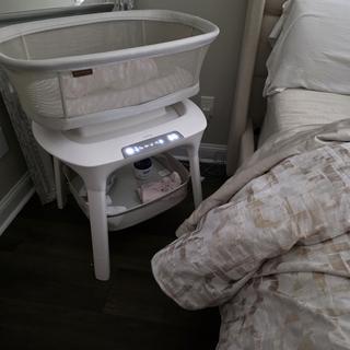 Submitted by Haley Schake