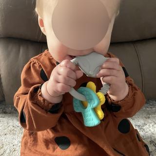 Submitted by Molly C