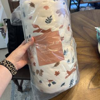 Submitted by bcreamer