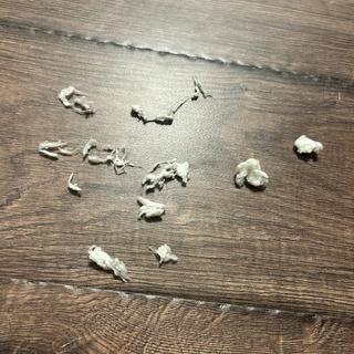 Submitted by bcreamer