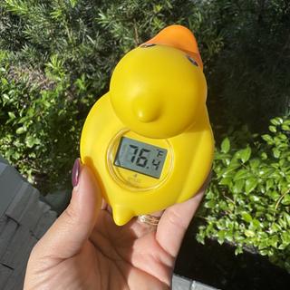 Submitted by Val San