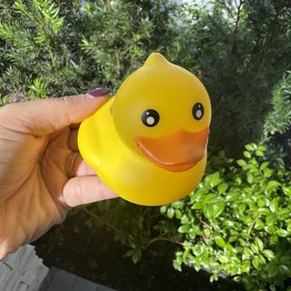 Submitted by Val San