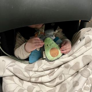 Submitted by Lindsey