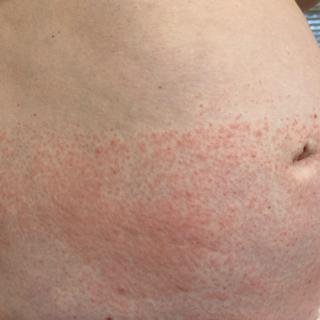 Submitted by Julia K