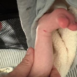 Submitted by Stephanie W