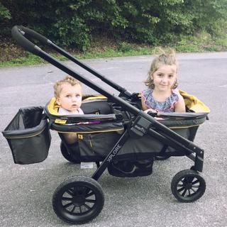 Submitted by JessicaM0129