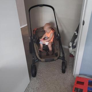 Submitted by Kraekray