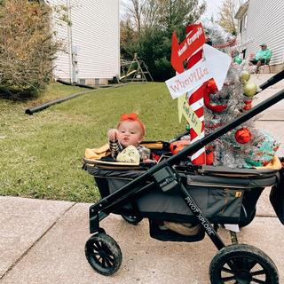 Submitted by Nicholle A