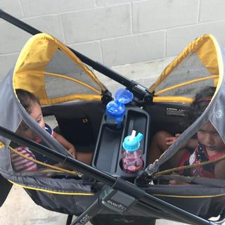 Submitted by Kathleenelisa